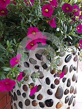 Pinkflower pot stone photo