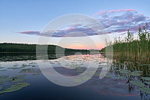 Pinkish Relfections on a lake