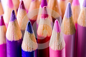 Pinks and Purples Colored Pencils