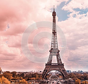 Pinky Paris
