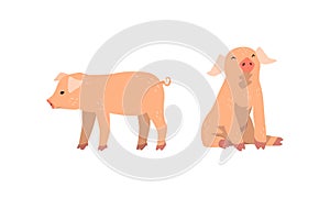 Pinky Pig as Domestic Animal with Long Snout and Hoofed Toes Vector Set photo