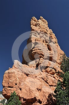 Pinnacle at Bryce Canyon