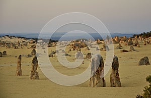 Pinnacle Desert Landscape at Dusk, Western Australia