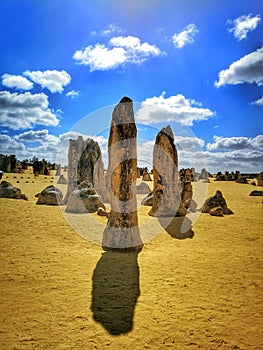 The Pinnacle Desert, the limestone formations within Nambung National Park,