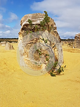 Pinnacle Desert Nambung National Park Western Australia