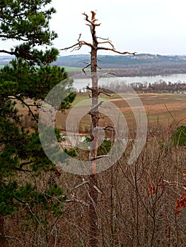 Pinnacle mountain state park