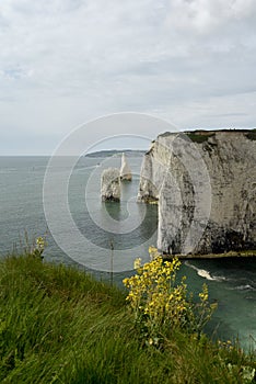 The Pinnacle, Old Harrys Rocks