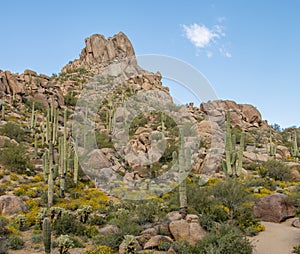 Pinnacle Peak Hiking Trail In North Scottsdale Arizona In Spring time