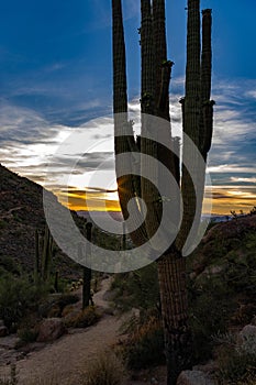 Pinnacle Peak Sonoran Sunset