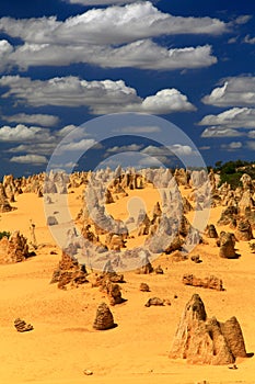 Pinnacles Desert