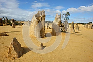 Pinnacles desert