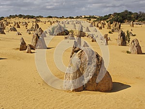 Pinnacles desert