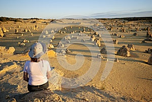 Pinnacles desert