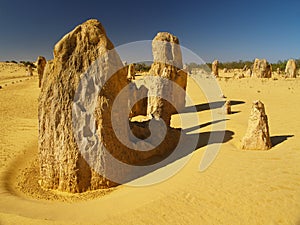 Pinnacles desert