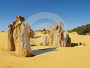 Pinnacles desert