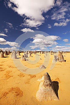 The Pinnacles Desert in Nambung National Park, Australia photo