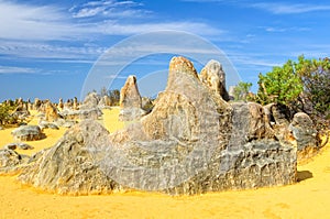 Pinnacles Desert in the  Nambung National Park - Cervantes