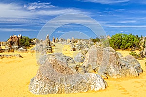 Pinnacles Desert in the  Nambung National Park - Cervantes