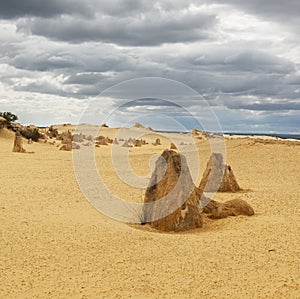 Pinnacles Desert in the Nambung National Park photo