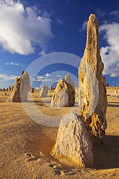 The Pinnacles Desert in Nambung NP, Western Australia photo
