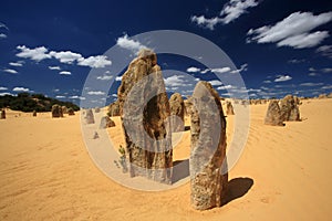 Pinnacles Desert,West Australia