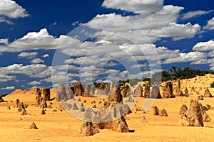 Pinnacles Desert,West Australia