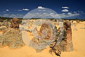 Pinnacles Desert,Western Australia