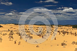 Pinnacles Desert,Western Australia