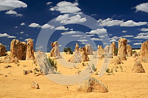 Pinnacles Desert,Western Australia