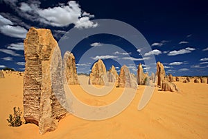 Pinnacles Desert,Western Australia