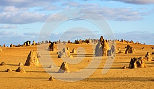 The Pinnacles Desert Western Australia