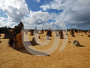 Western Australia, Pinnacles Desert