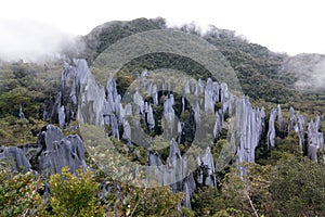 The Pinnacles at Gunung Api