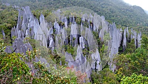 Pinnacles, Gunung Mulu, Borneo, Malaysia