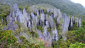 Pinnacles, Gunung Mulu, Borneo, Malaysia photo