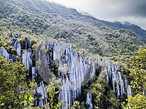 Pinnacles in Gunung Mulu National Park Borneo Malasia. photo