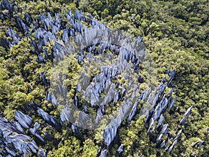 Pinnacles in Gunung Mulu National Park Borneo Malasia. photo