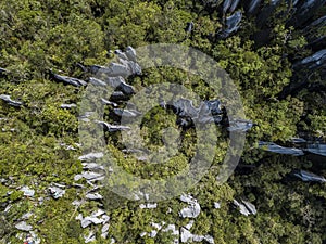 Pinnacles in Gunung Mulu National Park Borneo Malasia. photo