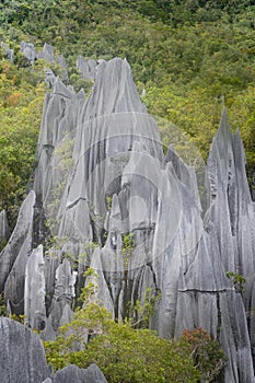 Pinnacles at Mulu National Park in Sarawak
