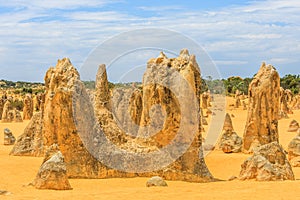 The Pinnacles in the Nambung National Park, Western Australia