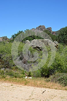 Pinnacles national park California King Snake