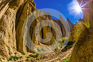 The pinnacles separated by narrow ravines