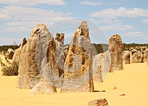 Pinnacles Western Australia photo