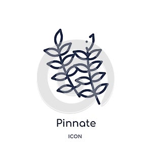 Pinnate icon from nature outline collection. Thin line pinnate icon isolated on white background