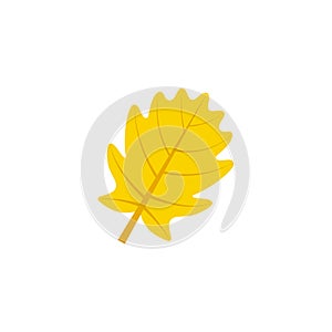 Pinnatifid oak leaf flat icon
