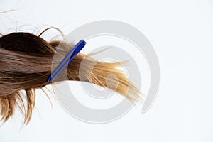 Pinned up female hair lies on a white background, a clip on the hair
