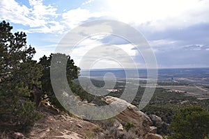 Pinon Pines stand sentry on Black Mesa, Arizona overlooking Peabody Coal Mine`s Infrastructure