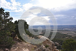 Pinon Pines stand sentry on Black Mesa, Arizona overlooking Peabody Coal Mine`s Infrastructure photo