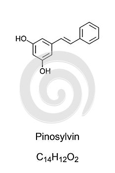 Pinosylvin, the essential oil from pine trees, chemical formula