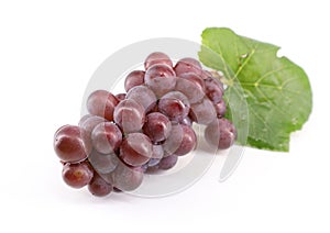 Pinot Gris grape on white background . photo
